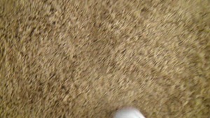 StreetBlowjobs: Caucasian Nikki pussy fuck