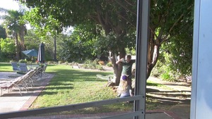 Brazzers Exxtra - American Nina Elle ass fucking outdoors HD