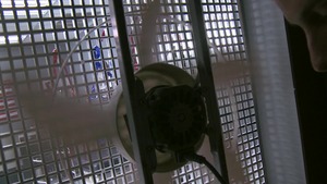 CFNM - Athletic Sonny Nash FFM