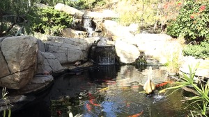 TeensLikeItBig.com - Stevie Shae ass licking porno