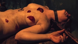 HORRORporn.com: BDSM in company with shaved brunette